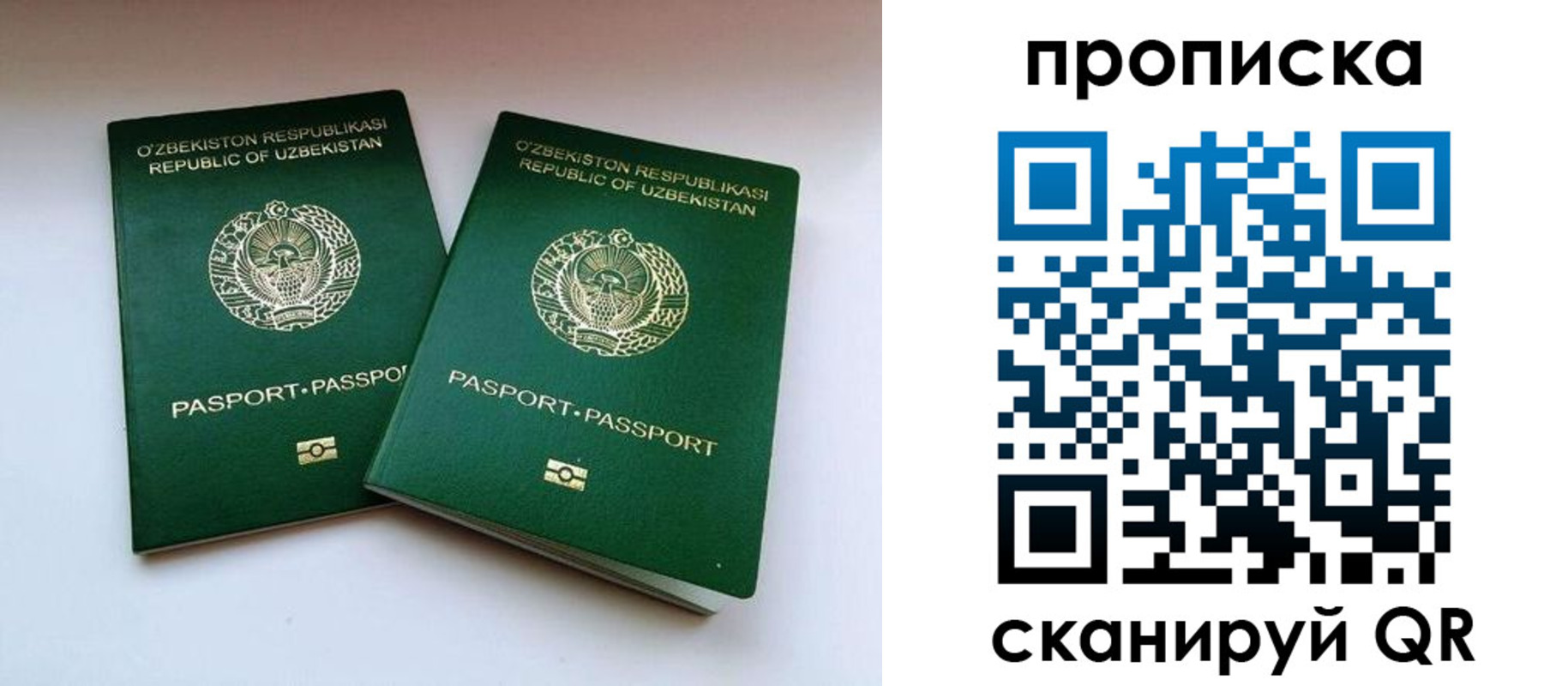 прописка поиск в Строителе